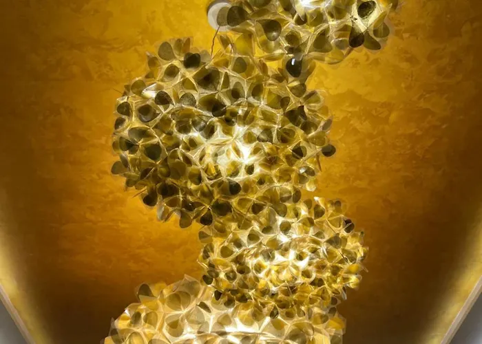 Zepterme 509 * Vrnjačka Banja